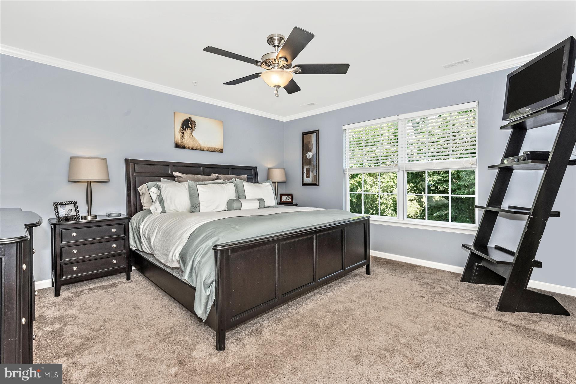 6101 Pine Ridge Terrace Frederick, MD 21701 - Photo 14 of 29 MBR w/ crown molding, ceiling fan/light & WIC