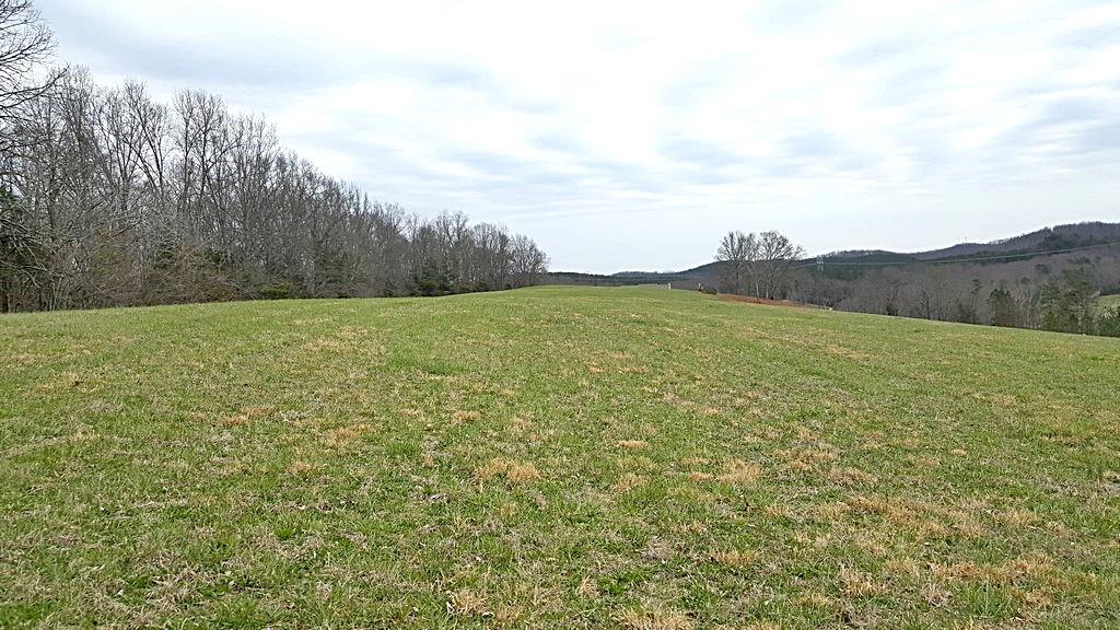 Brickell Ridge Road Decatur, TN 37322 - Photo 1 of 16 20180323_120312