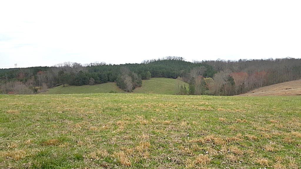 Brickell Ridge Road Decatur, TN 37322 - Photo 11 of 16 20180323_120330