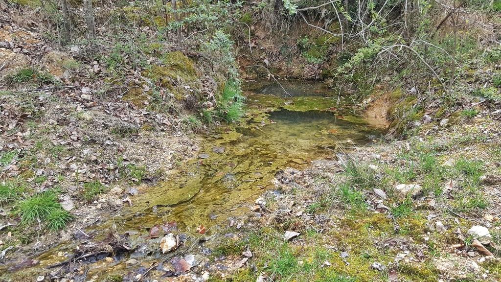 Brickell Ridge Road Decatur, TN 37322 - Photo 14 of 16 20180323_120647