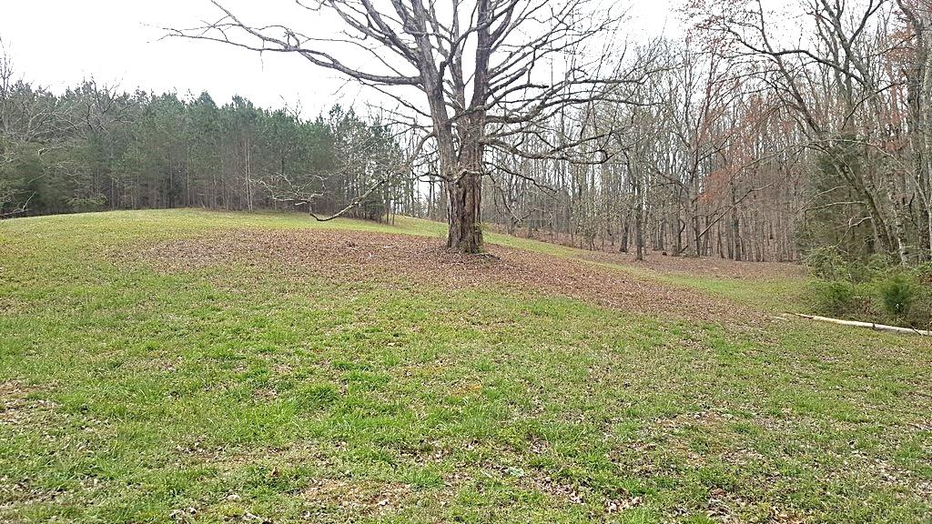 Brickell Ridge Road Decatur, TN 37322 - Photo 15 of 16 20180323_120709