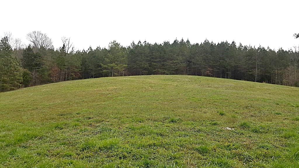 Brickell Ridge Road Decatur, TN 37322 - Photo 16 of 16 20180323_120726
