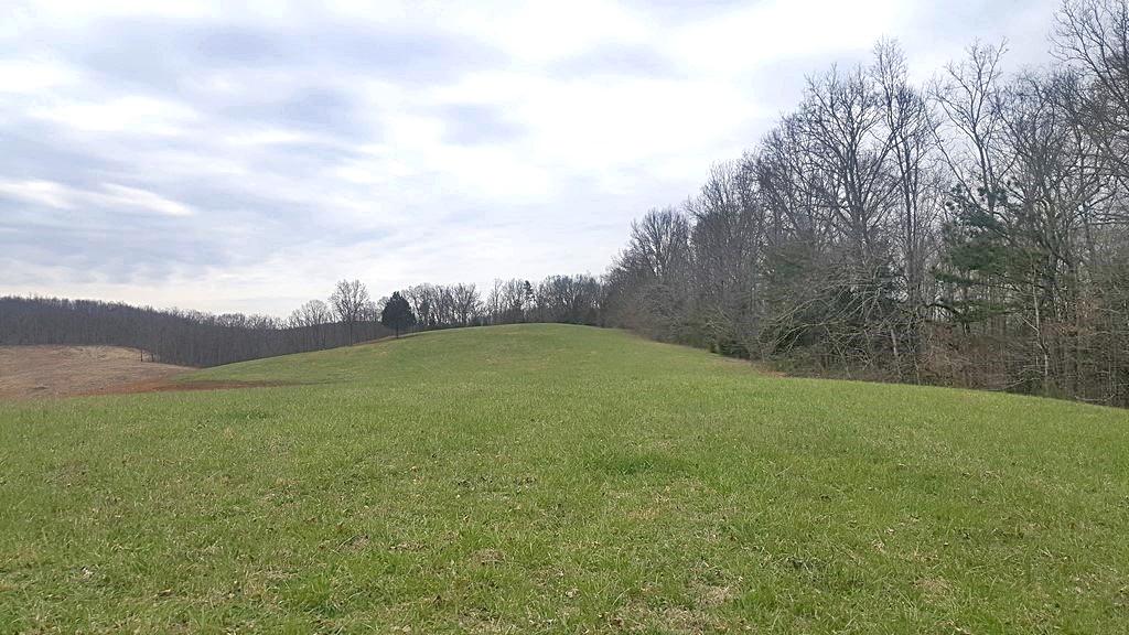 Brickell Ridge Road Decatur, TN 37322 - Photo 3 of 16 20180323_120051