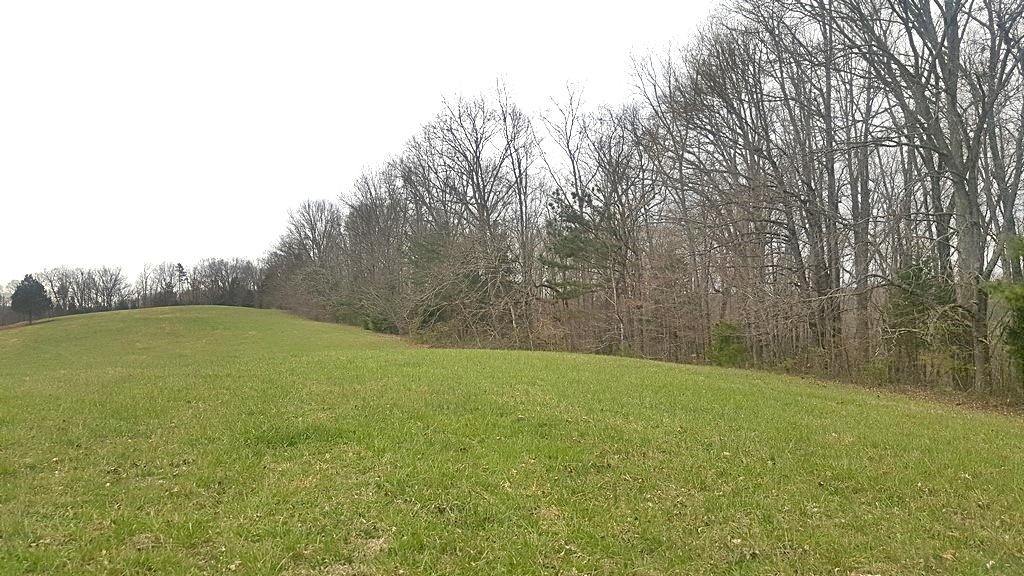 Brickell Ridge Road Decatur, TN 37322 - Photo 4 of 16 20180323_120053