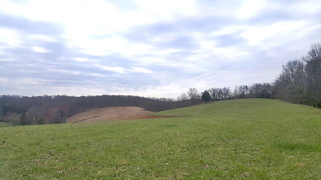 Brickell Ridge Road Decatur, TN 37322 - Photo 5 of 16 20180323_120055