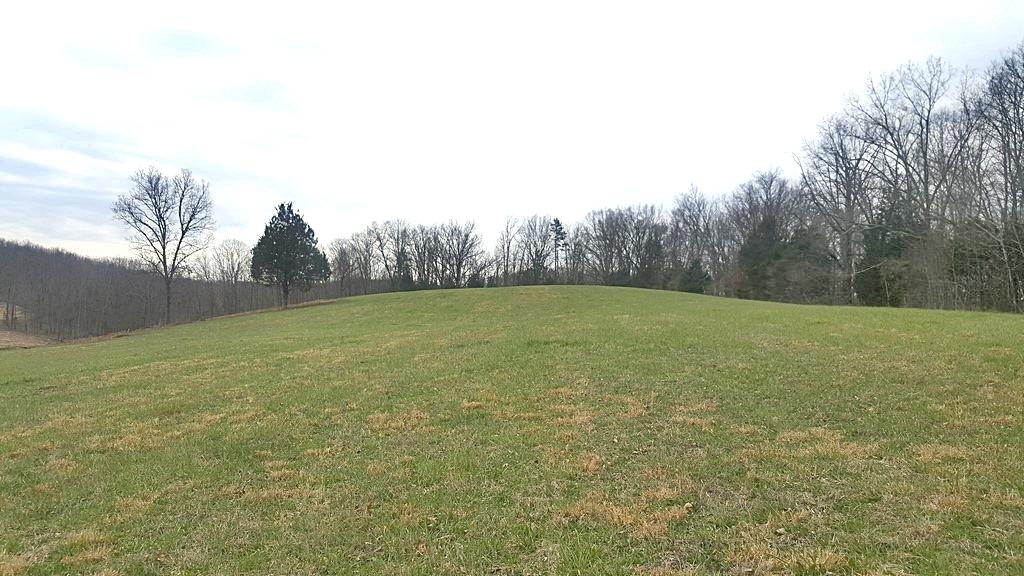 Brickell Ridge Road Decatur, TN 37322 - Photo 6 of 16 20180323_120134
