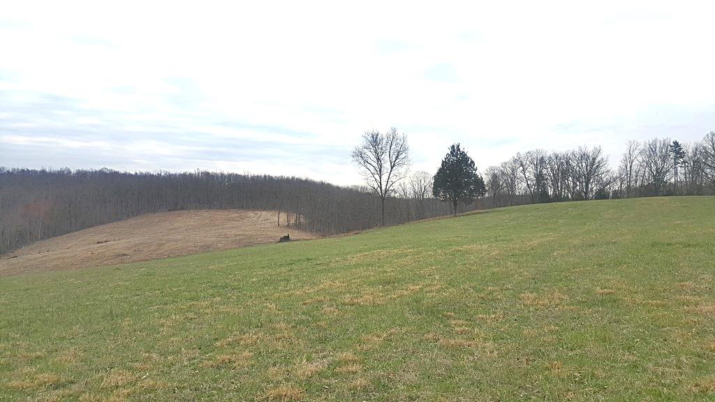Brickell Ridge Road Decatur, TN 37322 - Photo 7 of 16 20180323_120136