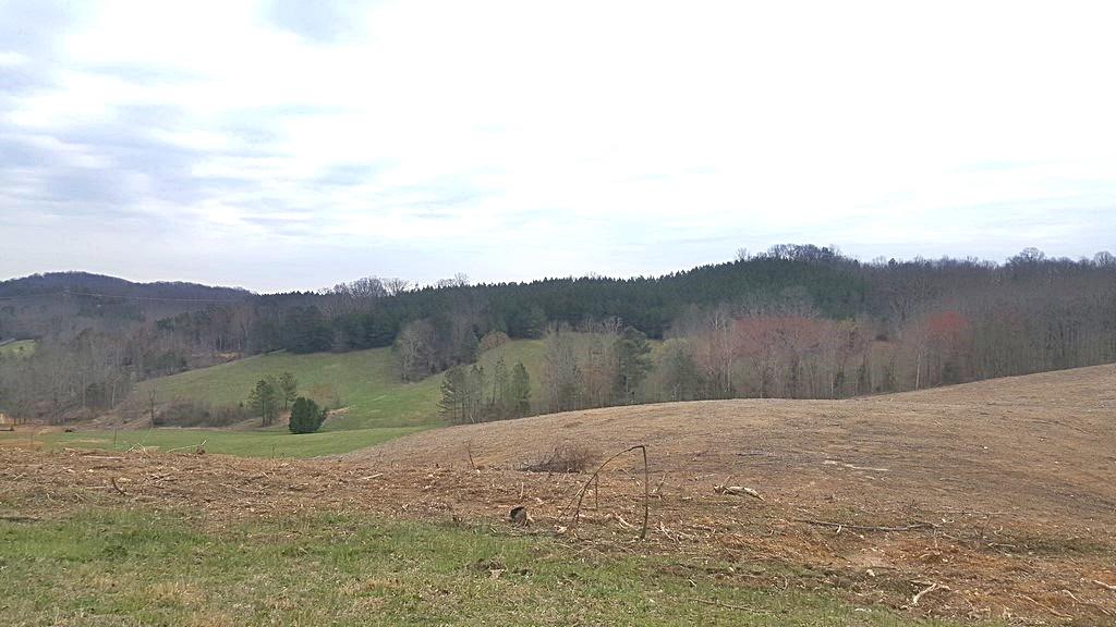 Brickell Ridge Road Decatur, TN 37322 - Photo 8 of 16 20180323_120231