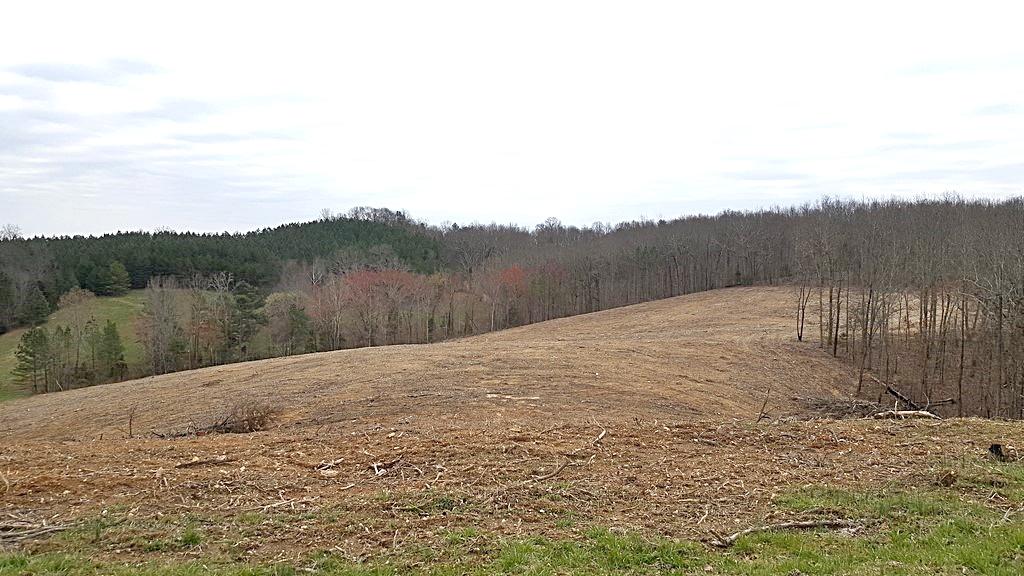 Brickell Ridge Road Decatur, TN 37322 - Photo 10 of 16 20180323_120244