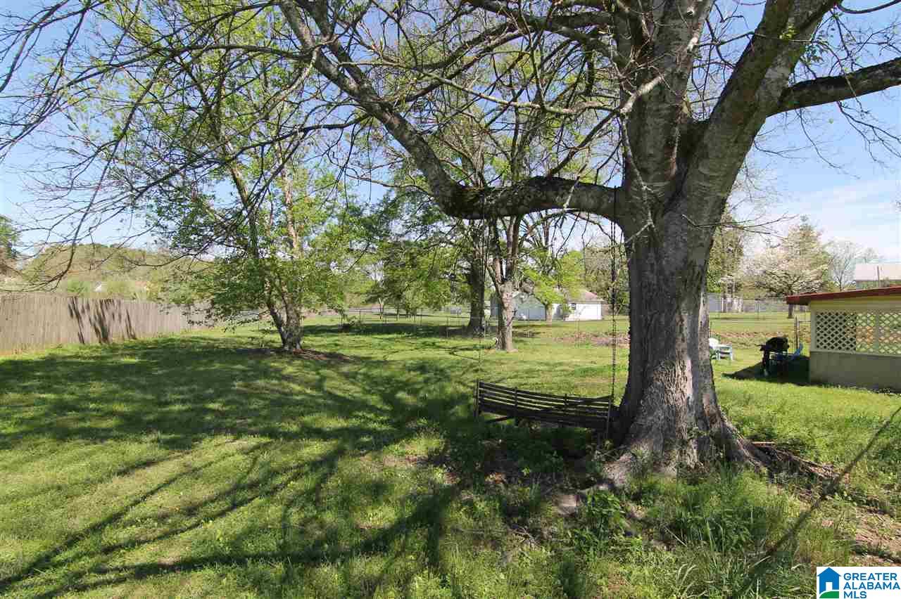 7199 County Road 79 Daviston, AL 36256 - Photo 10 of 21