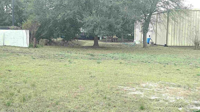 a view of a yard with large trees