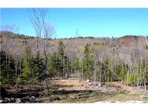 44 Collins Road Warner, NH 03278 - Photo 3 of 4