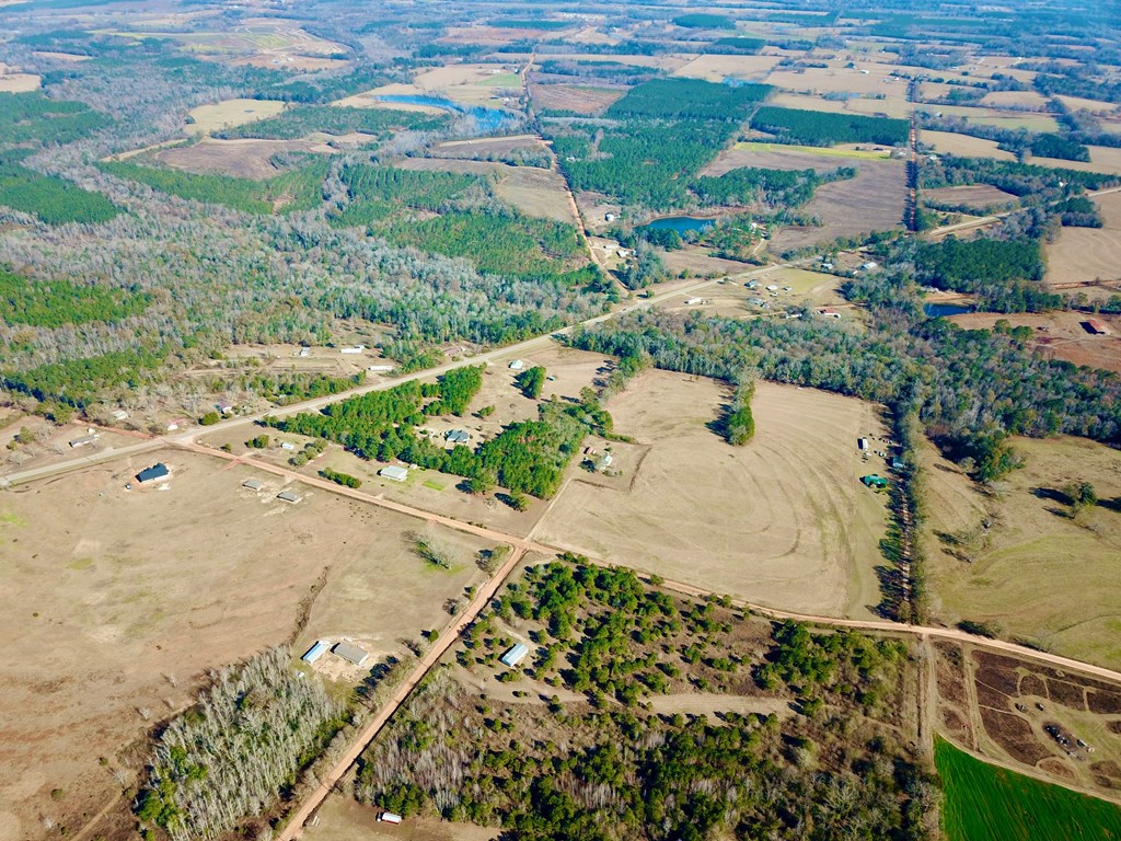 24.6-acres Grant Road Slocomb, AL 36375 - Photo 9 of 17
