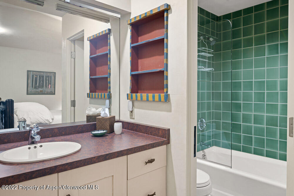 111 Neale Avenue Aspen, CO 81611 - Photo 20 of 30 a bathroom with a sink a toilet and shower