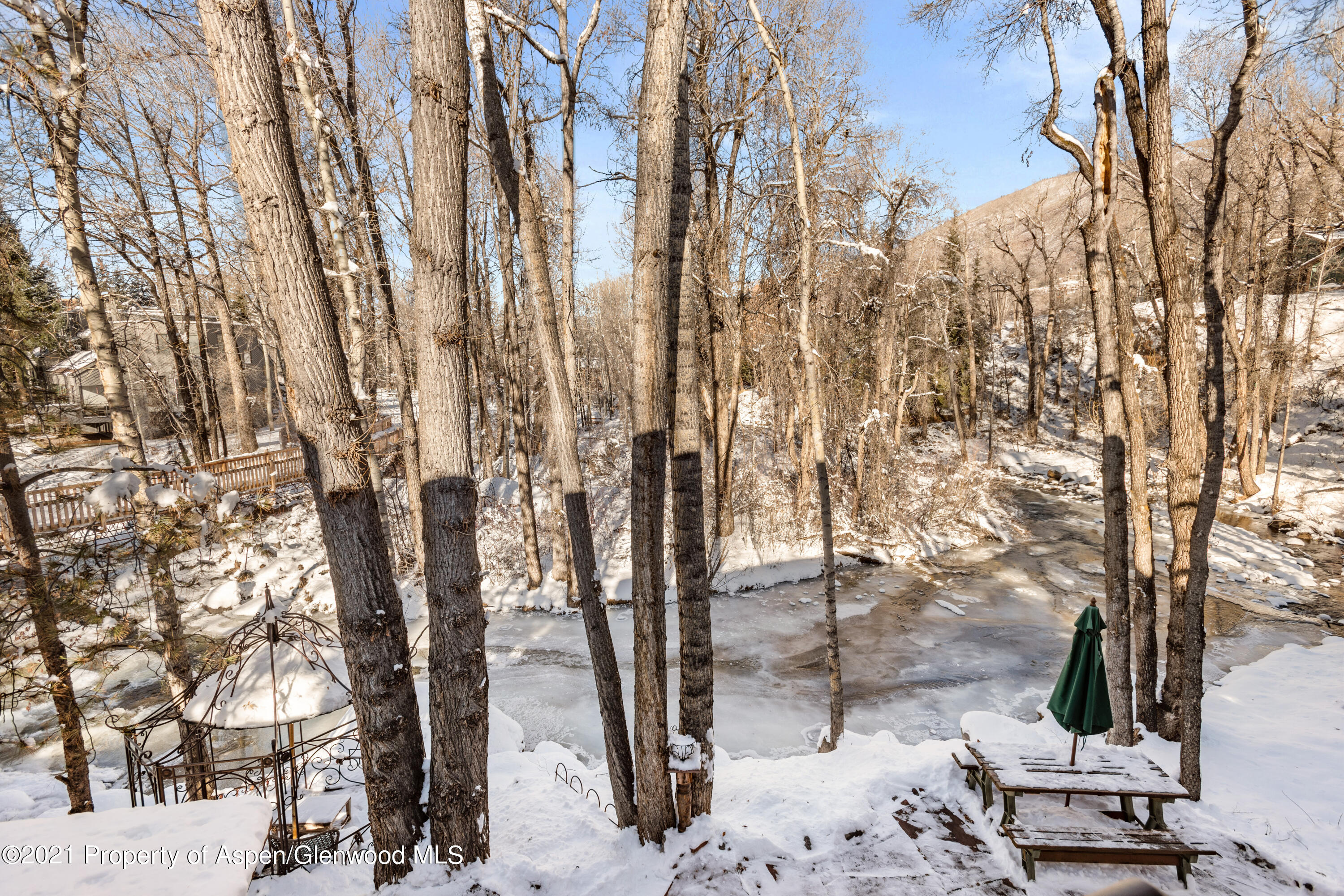 111 Neale Avenue Aspen, CO 81611 - Photo 30 of 30 a backyard of a house with lots of green space