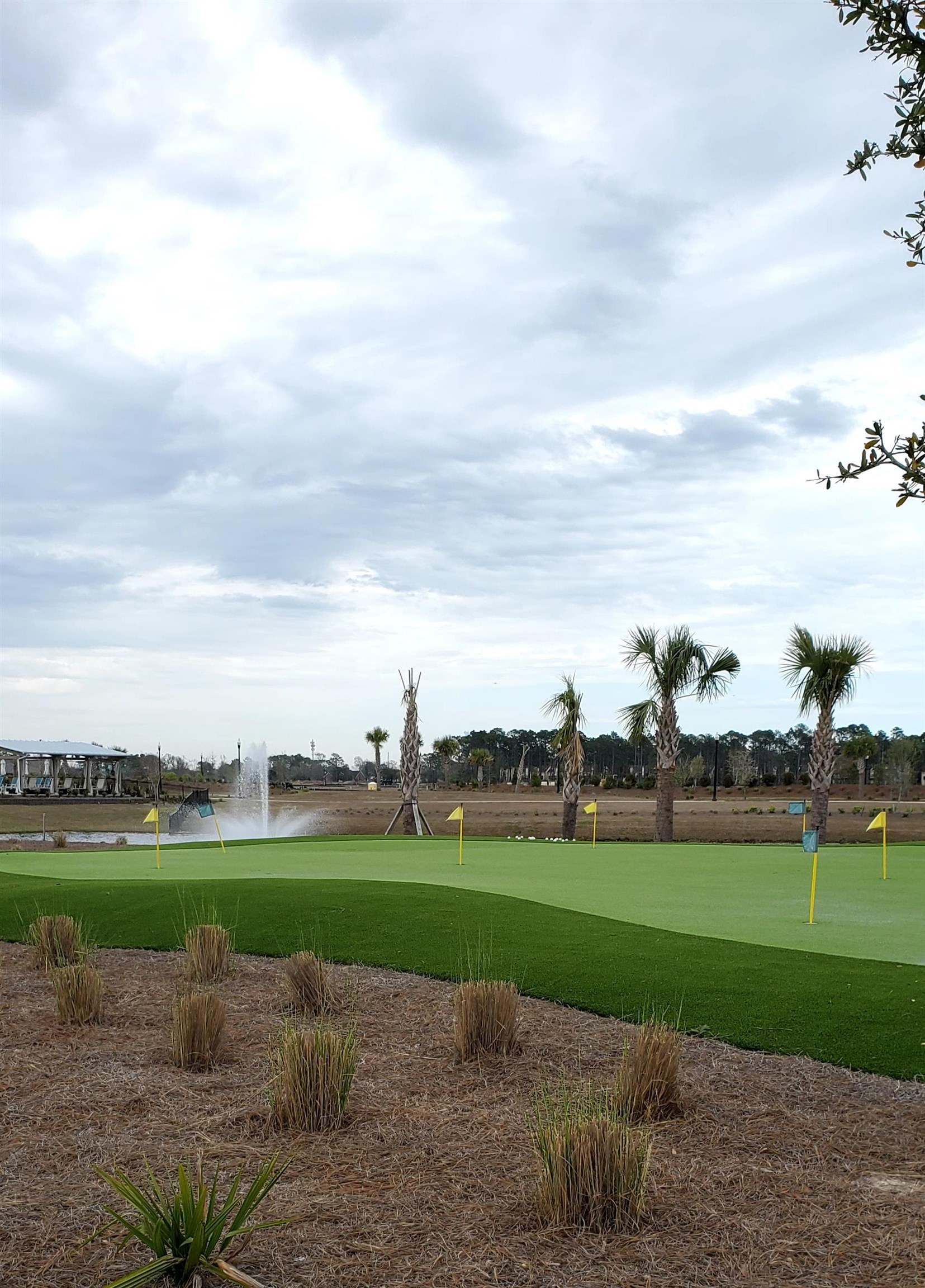 1589 Littleleaf Loop North Myrtle Beach, SC 29582 - Photo 37 of 41