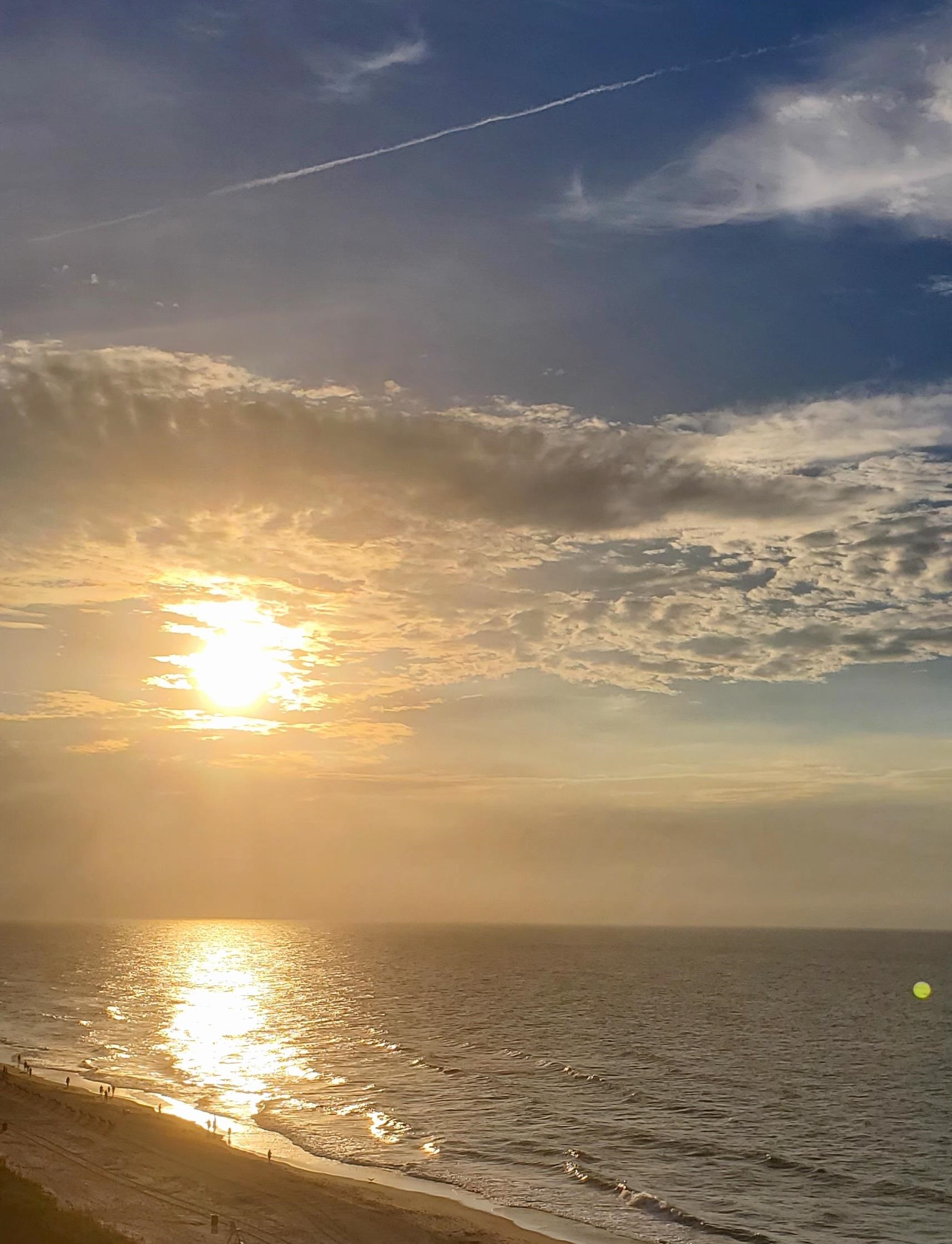 1589 Littleleaf Loop North Myrtle Beach, SC 29582 - Photo 40 of 41