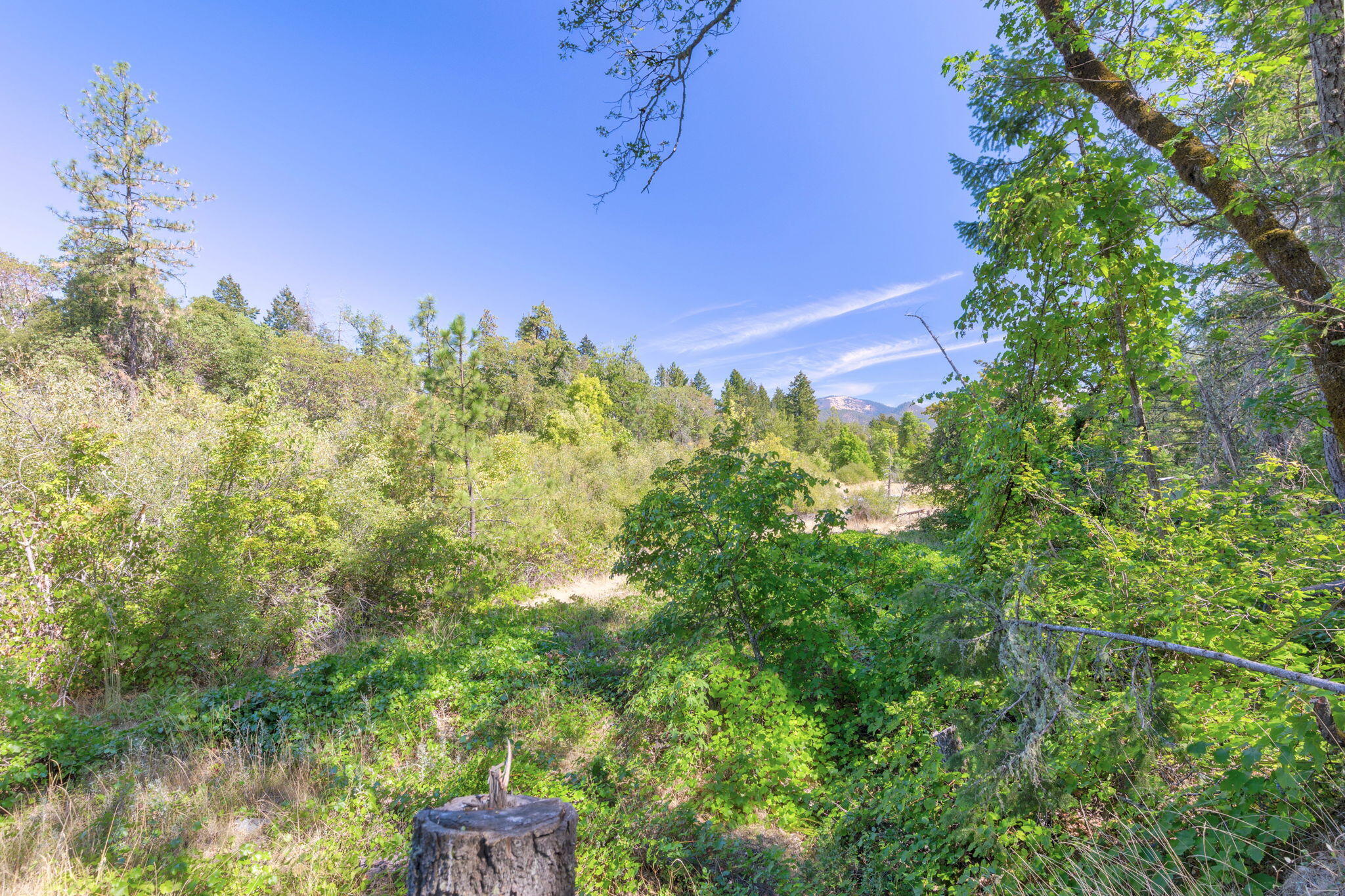 14771 Water Gap Road Williams, OR 97544 - Photo 7 of 55 View to Powell Creek