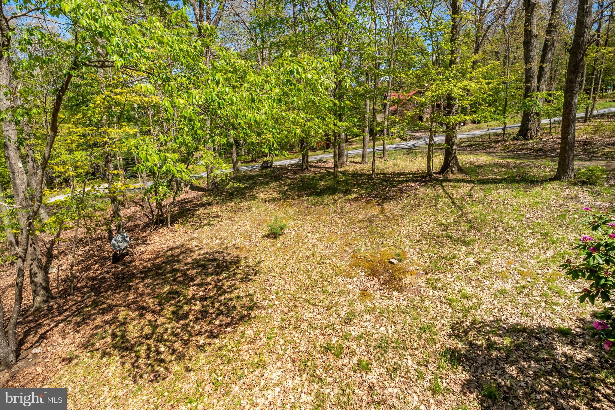 365 Ridge Road Swanton, MD 21561 - Photo 19 of 51