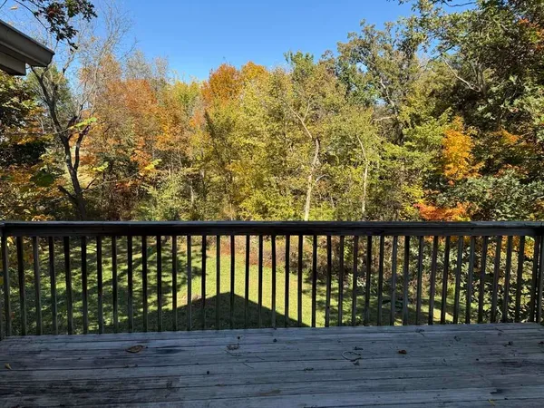 a view of a house with backyard and a tree