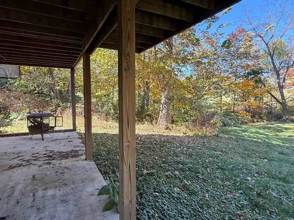 a view of a pathway both side of yard