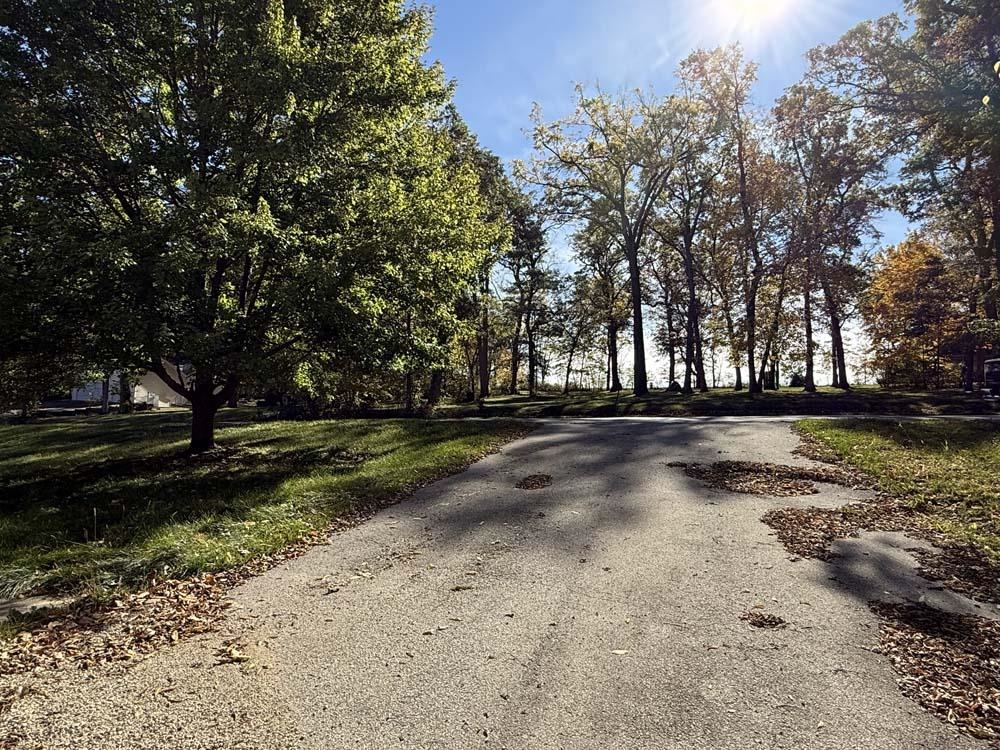 2179 Gainsboro Avenue Davis, IL 61019 - Photo 46 of 50 a view of a yard with large trees