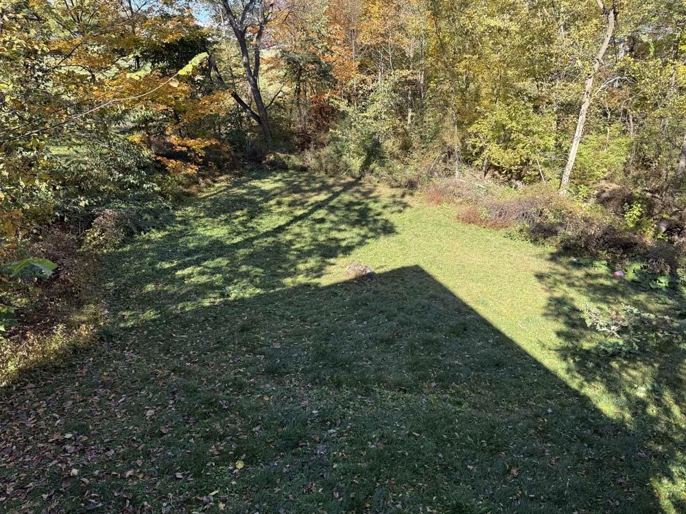 2179 Gainsboro Avenue Davis, IL 61019 - Photo 47 of 50 a view of a large yard with lots of trees