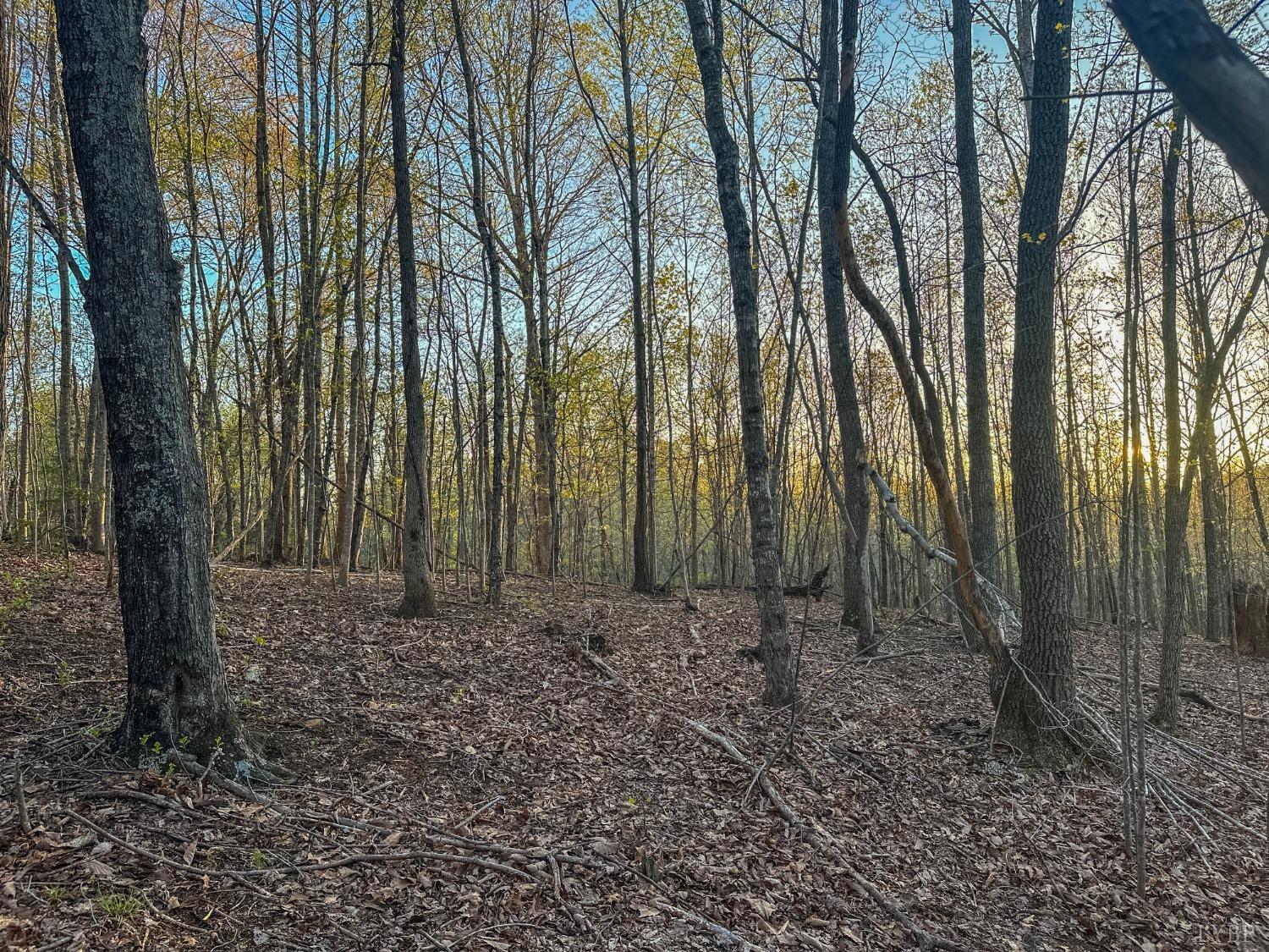 0 Monacan Park Road Madison Heights, VA 24572 - Photo 17 of 31