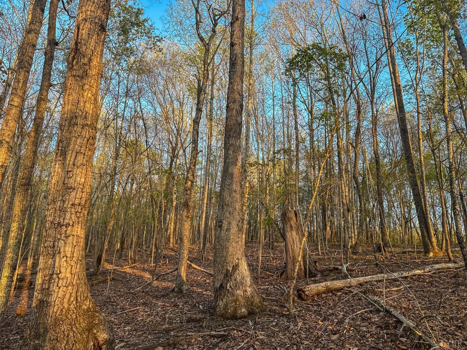 0 Monacan Park Road Madison Heights, VA 24572 - Photo 18 of 31