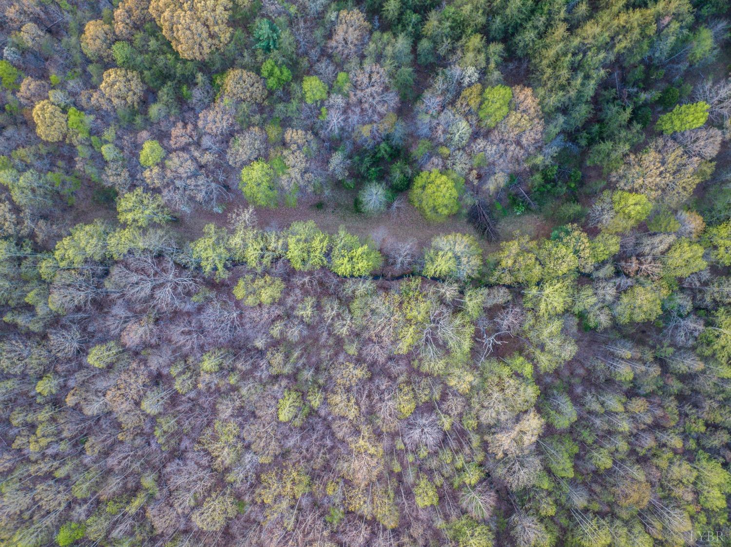 0 Monacan Park Road Madison Heights, VA 24572 - Photo 20 of 31