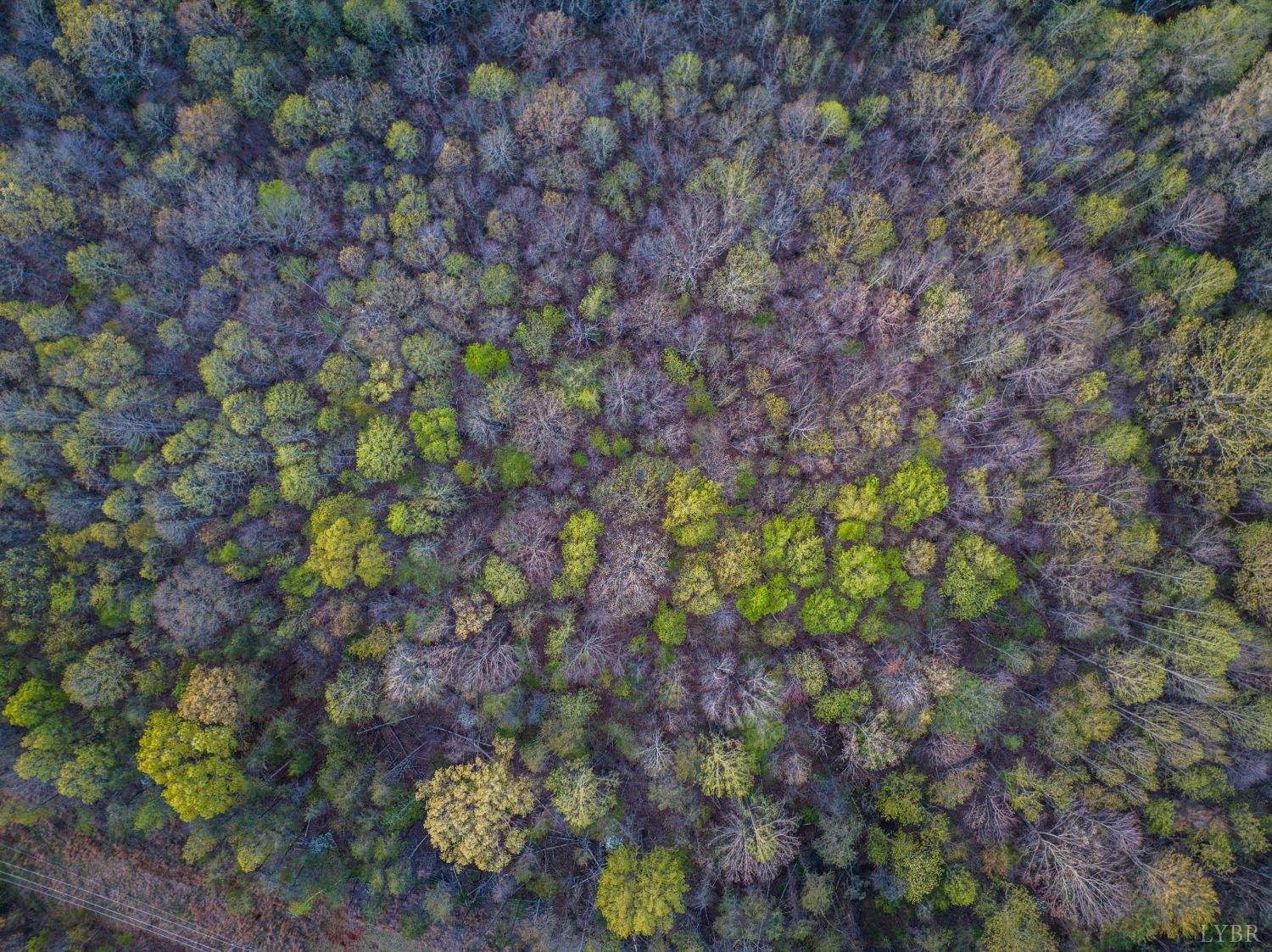 0 Monacan Park Road Madison Heights, VA 24572 - Photo 21 of 31