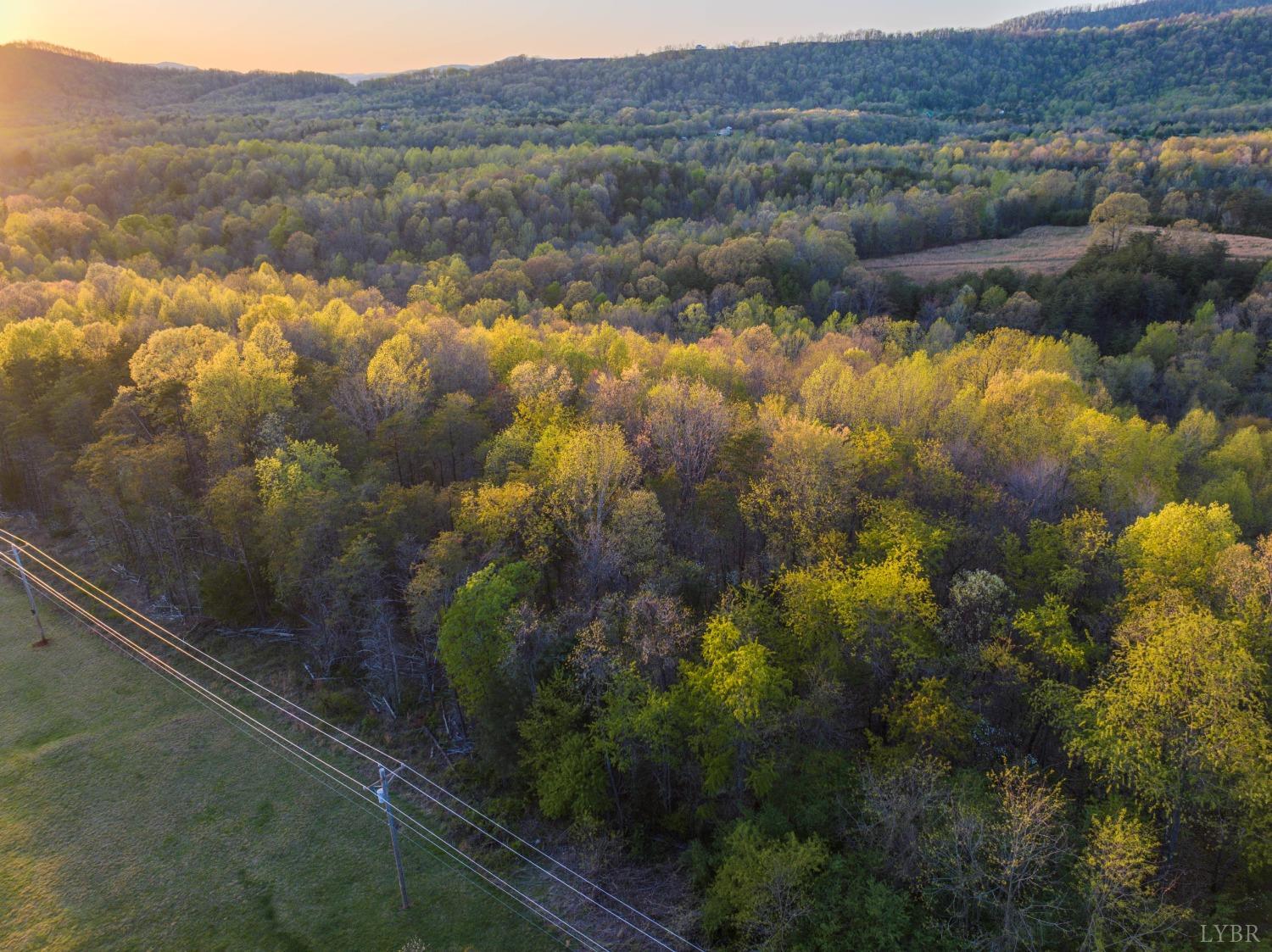 0 Monacan Park Road Madison Heights, VA 24572 - Photo 22 of 31