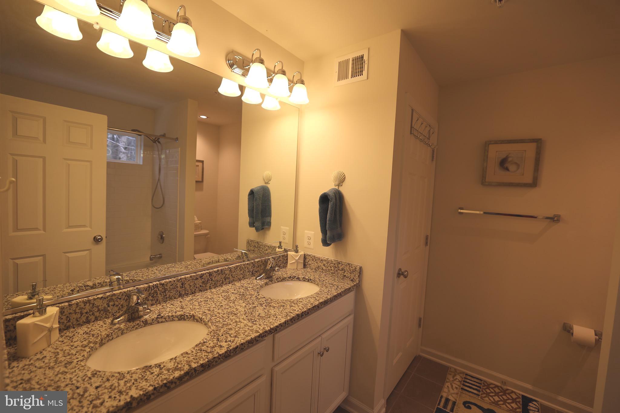 130 Intrepid Lane Berlin, MD 21811 - Photo 14 of 18 a bathroom with a granite countertop sink a mirror and a shower