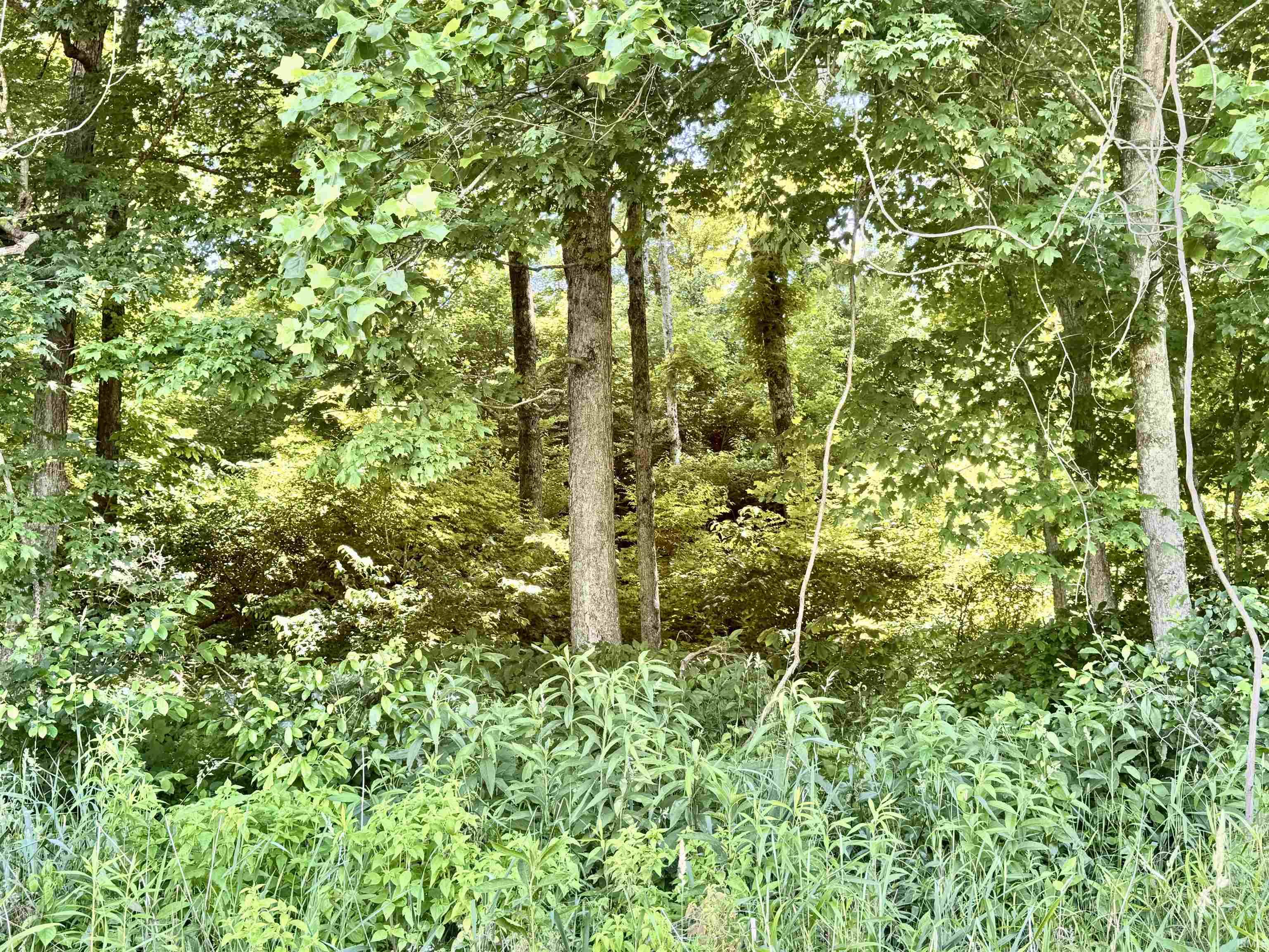 State Road Shoals, IN 47581 - Photo 14 of 25
