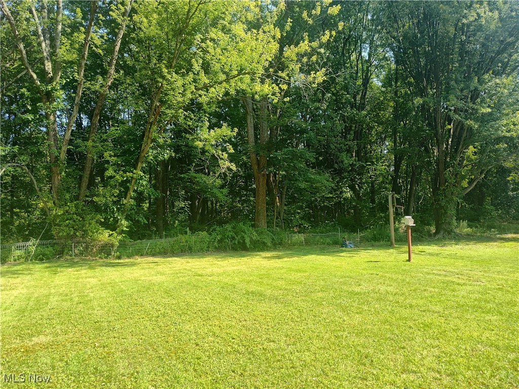 8016 Ninevah Road Geneva, OH 44041 - Photo 13 of 45 View of yard