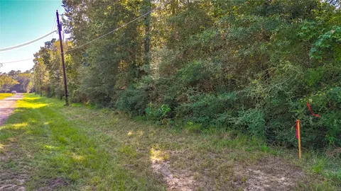 a view of a yard with a trees