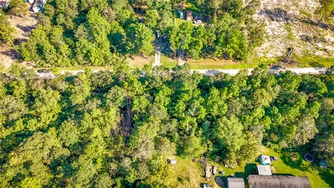 a view of a yard with plants and large trees