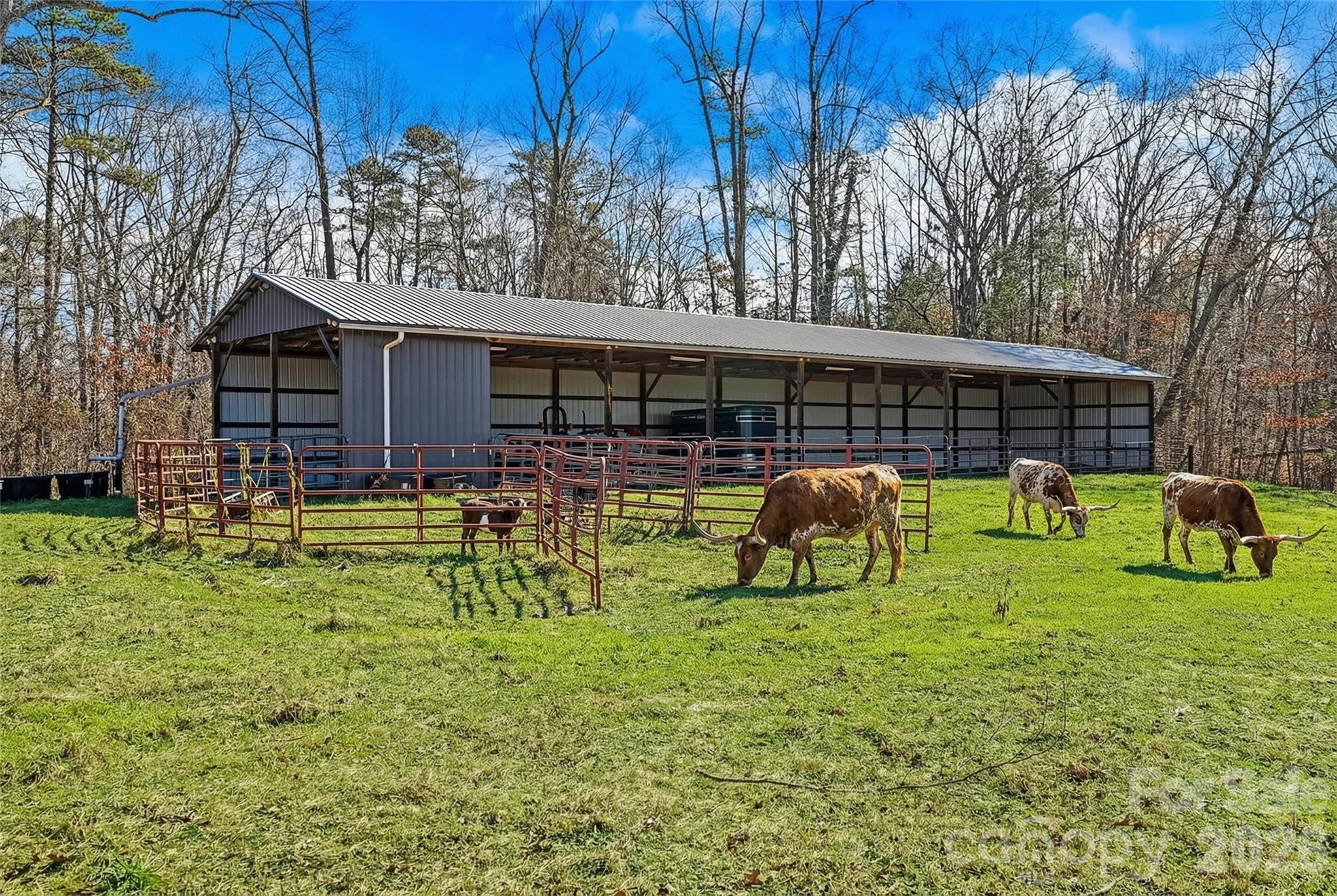 735 Macedonia Road Asheville, NC 28804 - Photo 5 of 46