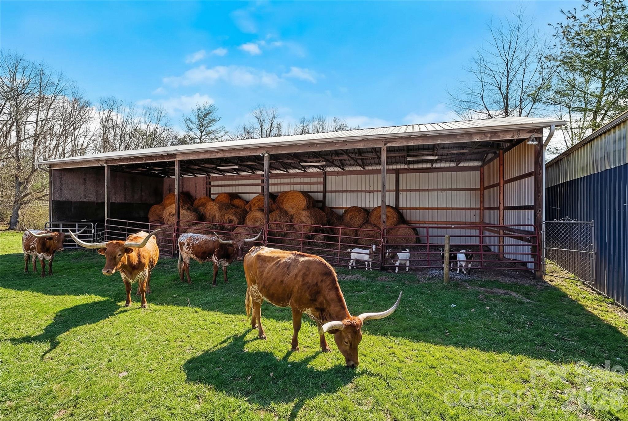 735 Macedonia Road Asheville, NC 28804 - Photo 8 of 46