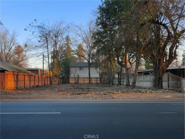 a view of road with large trees