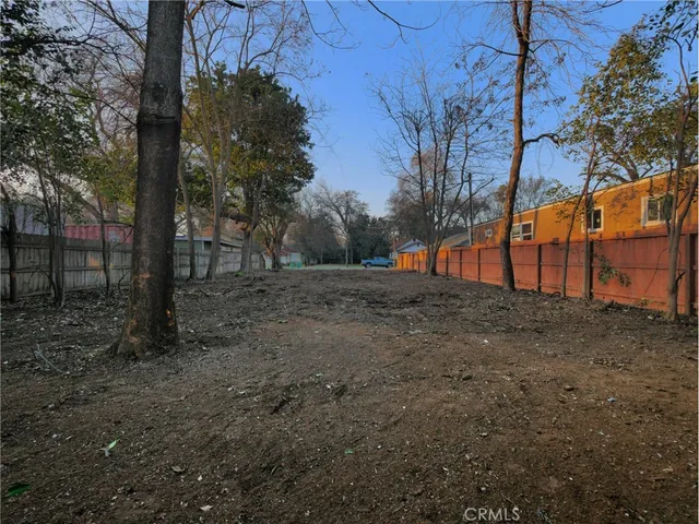 a view of road with large trees