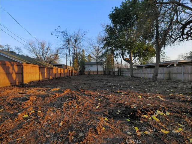 a view of yard with tree