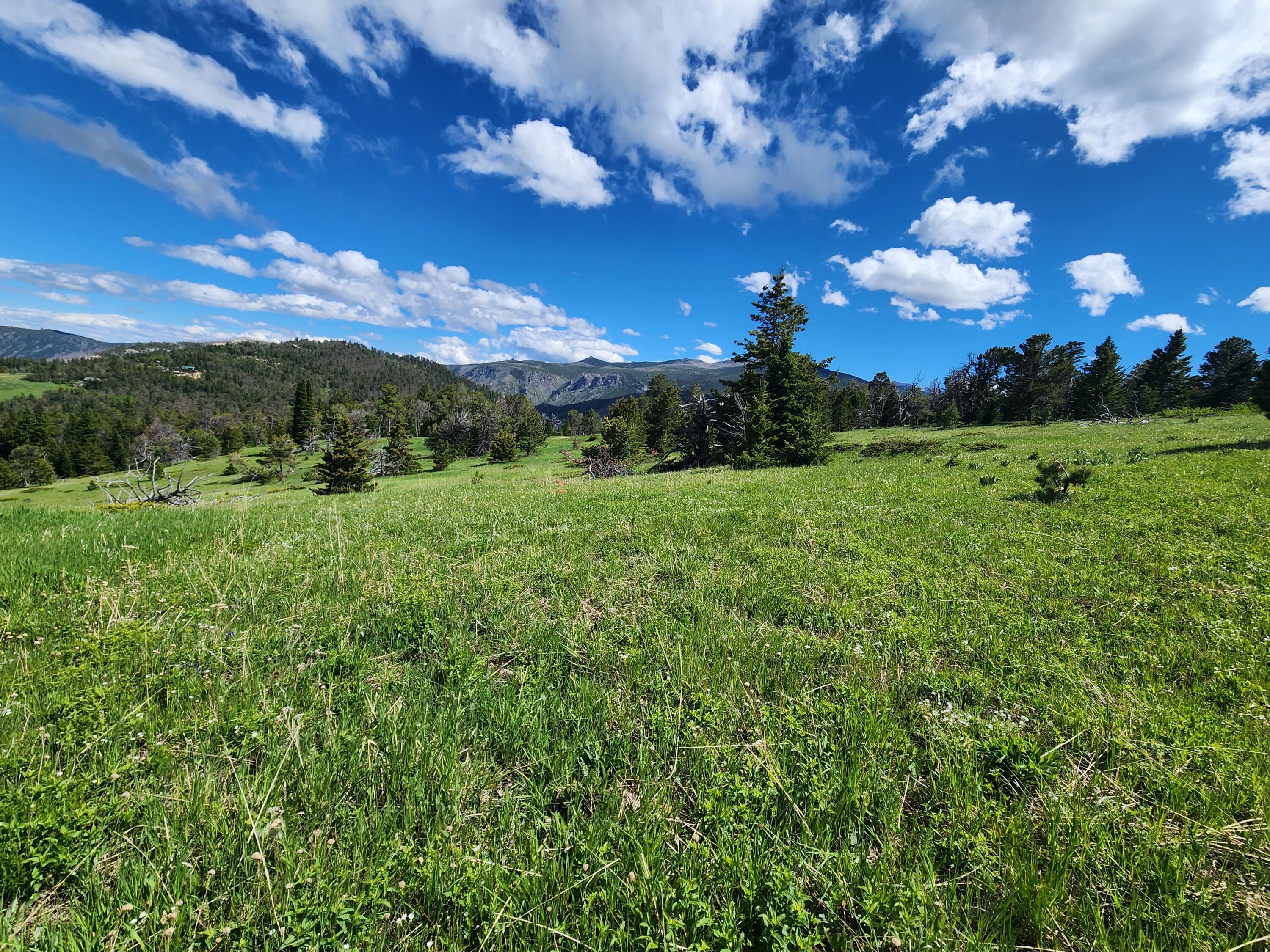 12 Blacktooth Road Big Horn, WY 82833 - Photo 3 of 25 Back of lot