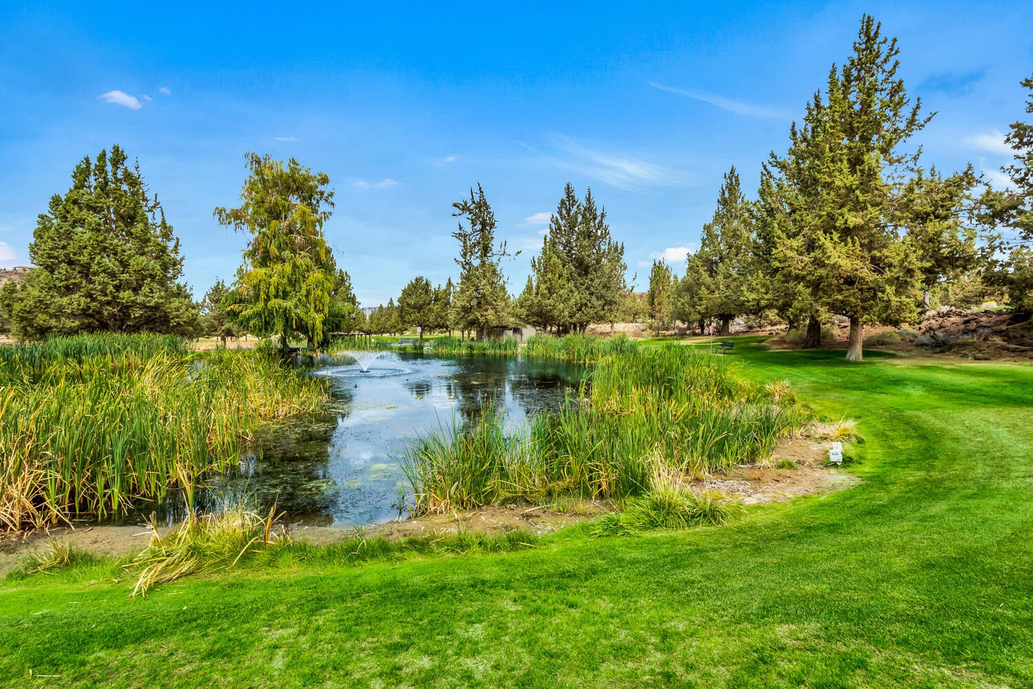 15779 Southwest Steelhead Road Terrebonne, OR 97760 - Photo 47 of 47 Crooked River Ranch 7