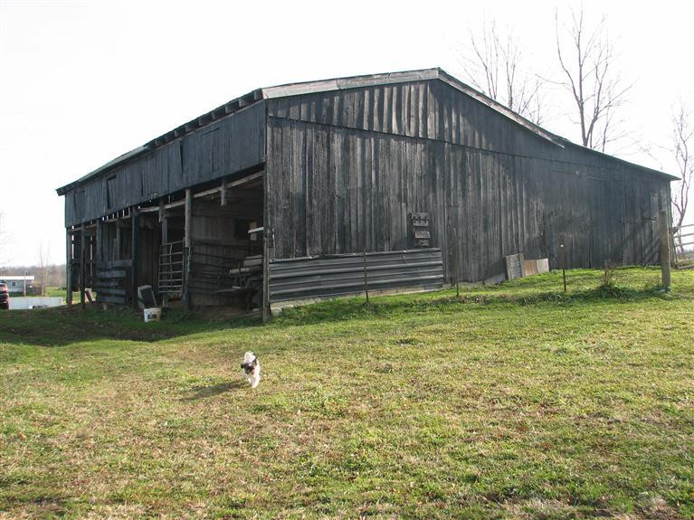 1335 Mundys Landing Road Versailles, KY 40383 - Photo 12 of 13 Photo 12