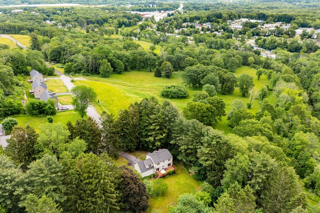 a view of a yard with plants