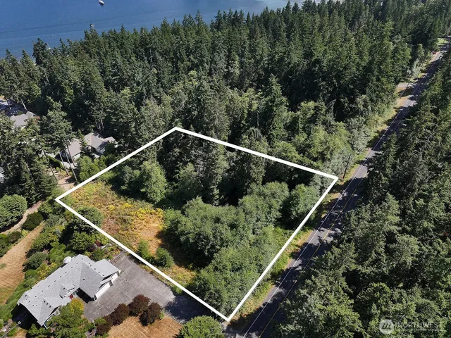 a view of a yard with plants and a bench