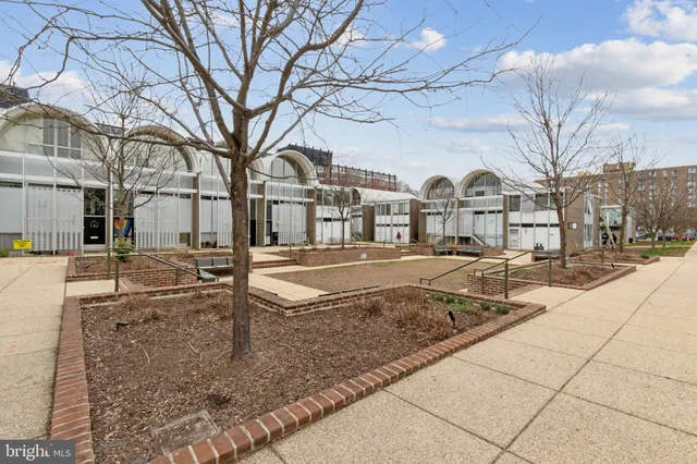 a view of a yard with a large tree