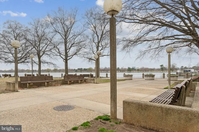a view of a yard with trees and a slide