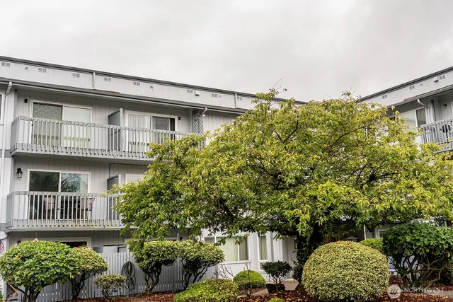 a front view of a house with a yard and potted plants